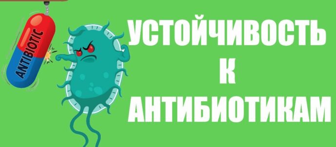Антимикробная резистентность. Что это такое? – Подсолнух Медиа